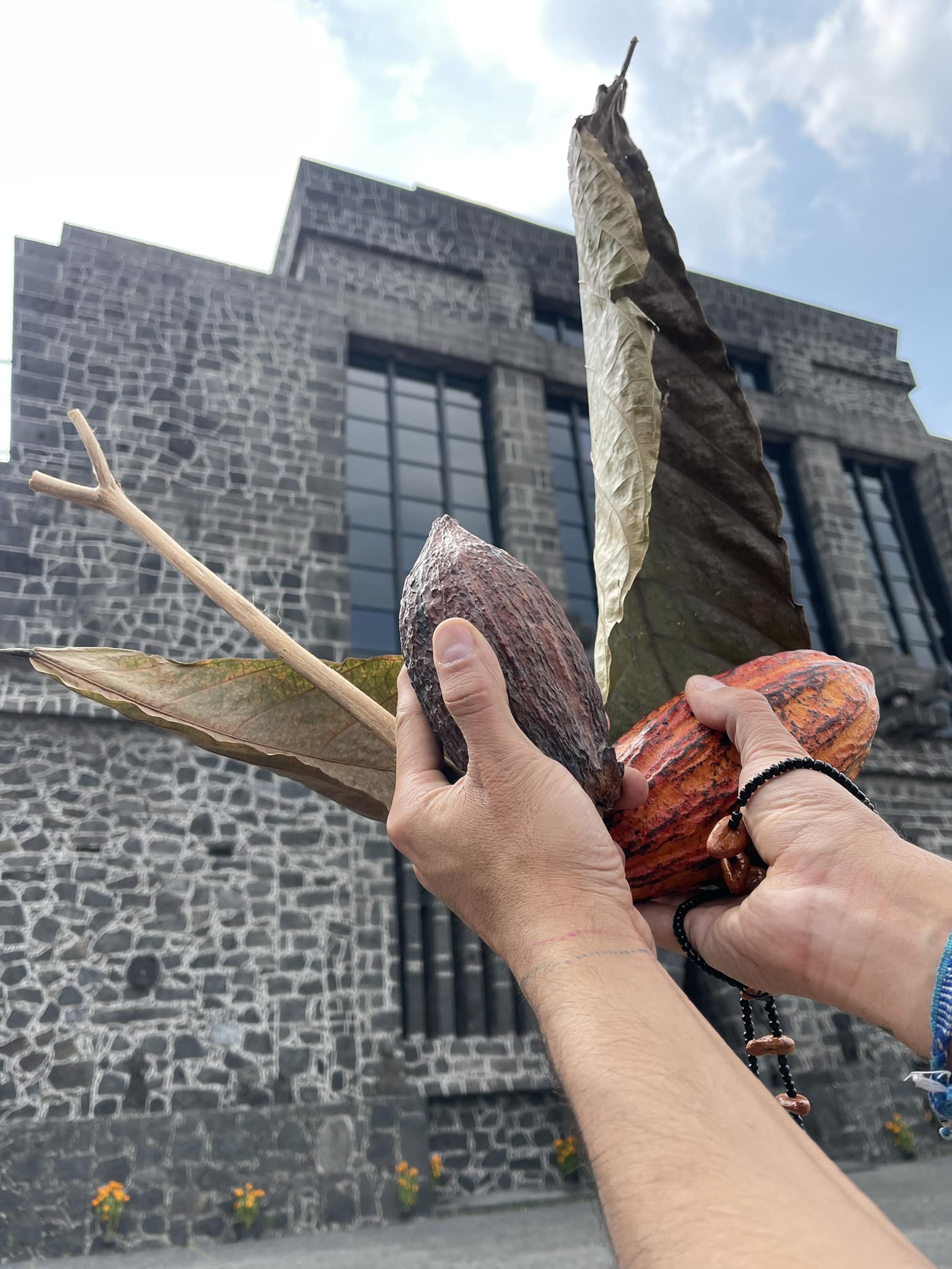 Festival Cacao para Todos · Anahuacalli